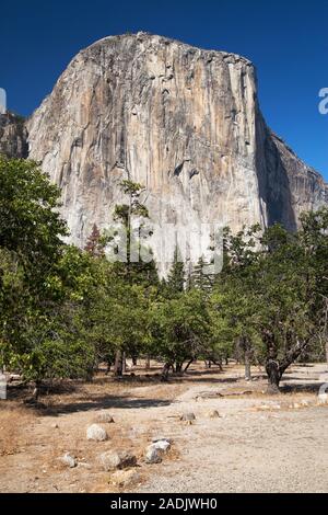 El Capitan vu du point de vue de l'automne Bridal Veil, Yosemite National Park, California, USA. Banque D'Images