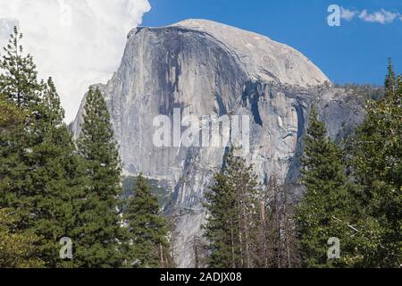 Gros plan de la face verticale de la Demi Dôme vu du pont de sentinelles, Yosemite National Park, California, United States. Banque D'Images