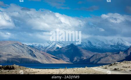 Le lac Tso Moriri, Ladakh, Inde Banque D'Images