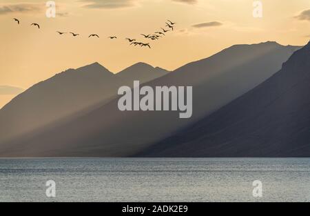Zone de Dynjandi, Dynjandi, cascades, l'Islande Westfjords Banque D'Images