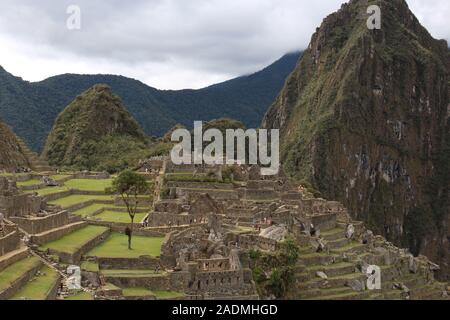 La section avant tout du Machu Picchu y compris la Zone Industrielle, la zone du prisonnier, terrasses agricoles et Huayna Picchu, région de Cuzco, Pérou Banque D'Images