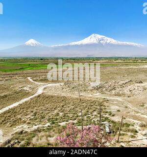 Le mont Ararat en Arménie, un snow-capped et volcan composé inactif Banque D'Images