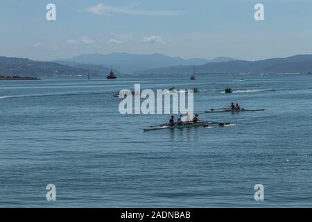 De l'aviron sur le port de Wellington Banque D'Images