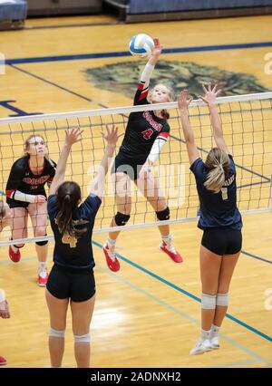 Volley-ball action avec Timberlake vs Gooding High School à coeur d'Alène, Idaho. Banque D'Images