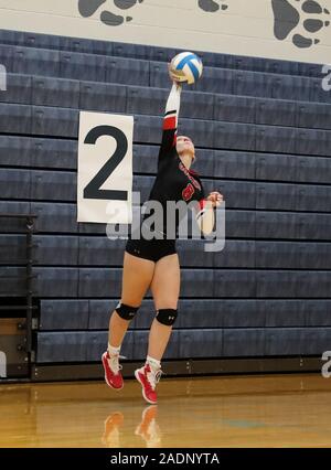 Volley-ball action avec Timberlake vs Gooding High School à coeur d'Alène, Idaho. Banque D'Images