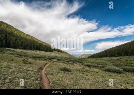 Paysage dans la nature sauvage des pics de Buffalo Banque D'Images