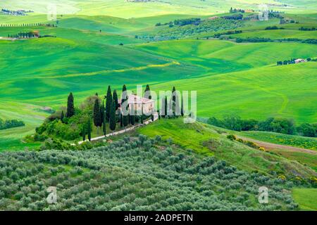 Podere Belvedere près de San Quirico d'Orcia, Val d'Orcia, Toscane, Italie, Europe. Banque D'Images