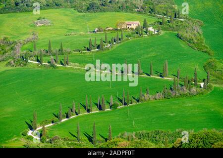 Paysage toscan, route sinueuse bordée de cyprès près de la Foce, Chianciano Terme, Val d'Orcia, Toscane, Italie, Europe. Banque D'Images