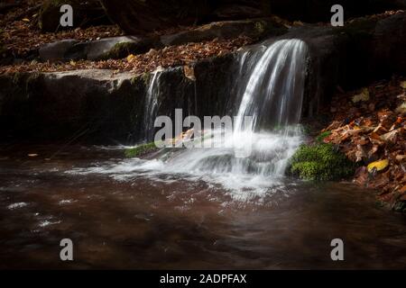 Sombre, Moody, vue artistique de la petite cascade du ruisseau de montagne entourée de soleil, dynamique, vert mousse et feuilles rouges et les rochers Banque D'Images