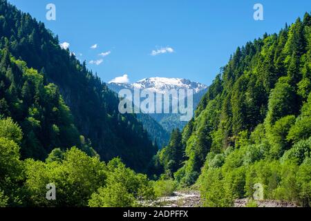 Patara, rivière Enguri Samegrelo-Zemo Svaneti, région de la Géorgie. Banque D'Images