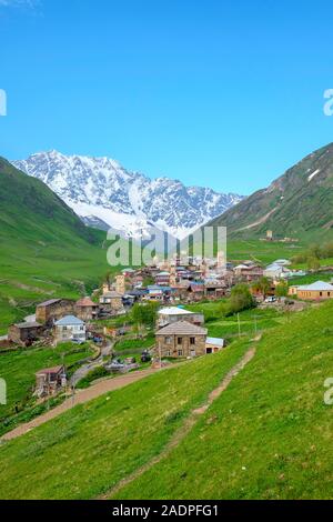 Et Chvibiani Zhibiani avec la neige en arrière-plan pointe Shkhara, Ushguli, Samegrelo-Zemo Svaneti, région de la Géorgie. Banque D'Images