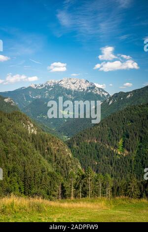 Vue sur la vallée de la Savinja à mountain Raduha à Kamnik-Alpes Savinja dans le nord de la Slovénie en été Banque D'Images