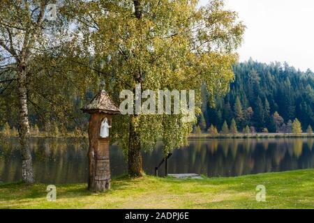 Gellsee Moorsee, in der Steiermark, Oesterreich / Gellsee, moor Lake dans la région de Styrie, Autriche Banque D'Images