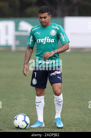 SÃO PAULO, SP - 04.12.2019 : TREINO N PALMEIRAS - SE Palmeiras player5454 au cours de la formation à l'Académie de football. (Photo : Cesar Greco/Fotoarena) Banque D'Images