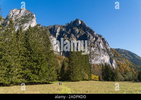 Suis Almwanderung Hengstpass. Laussabaueralm Kampermauer mit, Oberösterreich Banque D'Images