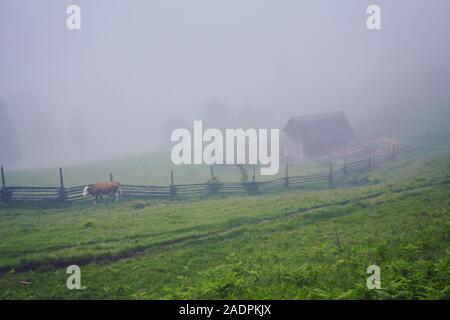 Paysage de montagne dans le brouillard. maison de montagne. Le vieux spooky maison sur la terre de nulle part. Maison en bois au milieu de la terre stérile. Sce Banque D'Images