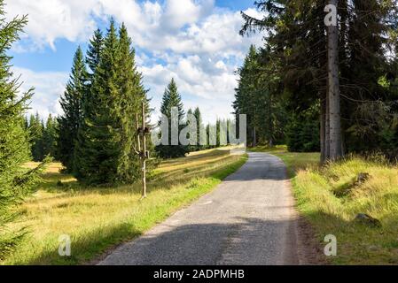 Route forestière d'orle à l'abri dans les montagnes Jizera, Jakuszyce, Pologne Banque D'Images