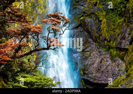 Devil's Punchbowl Waterfall in Arthur's Pass, Nouvelle-Zélande Banque D'Images