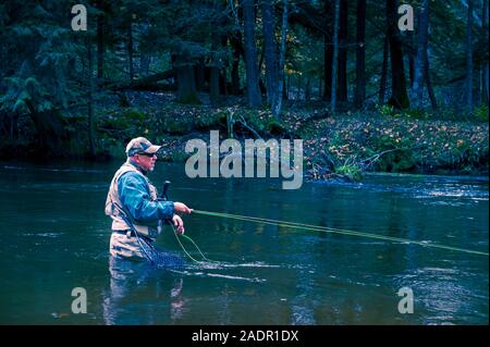 Fly fisherman casting pour la truite arc-en-ciel dans le Pere Marquette, près de Walhalla, Michigan, USA Banque D'Images