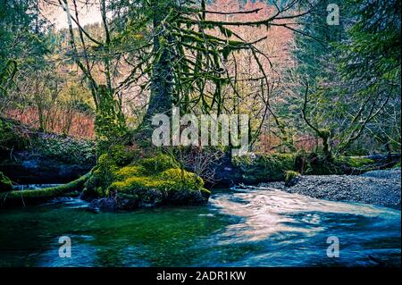 Starrigavan pittoresque Rivière, près de la forêt nationale de Tongass Sitka, Alaska, USA. Banque D'Images