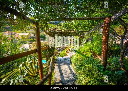 Un jardin luxuriant recouverts de vignes et de lierre dans une cour sur la colline de Monterosso al Mare, Cinque Terre sur la côte ligure de l'Italie Banque D'Images