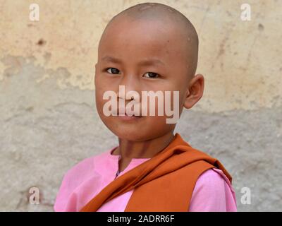 Petite fille bouddhiste birman noun (thilashin) avec tête rasée pose pour la caméra. Banque D'Images