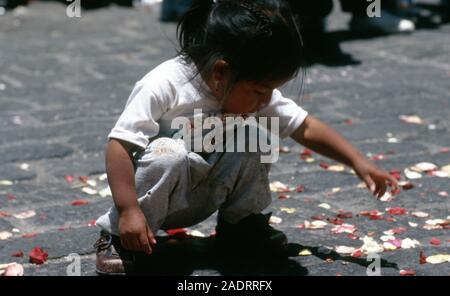 Une jeune fille ramasser des pétales de fleurs à l'assemblée annuelle/païenne 'Catholique Fête de la Mama Negra' à Latacunga, Equateur. Banque D'Images