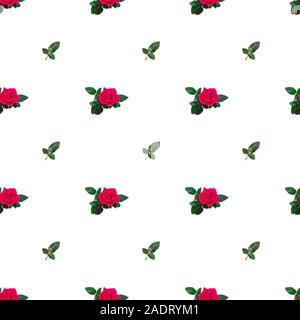 Transparente avec motif coloré et pétales de roses roses Banque D'Images