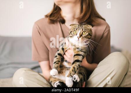 Young woman holding beau chat Banque D'Images