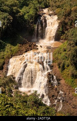 L'Éthiopie, région d'Amhara, Bahir Dar, Tissisat, Tis Isat Blue Nile River Falls Banque D'Images