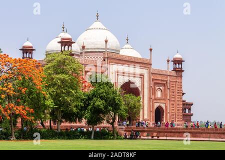 Interdiction à l'intérieur de la mosquée Kau Taj Mahal complexe. UNESCO World Heritage à Agra, Uttar Pradesh, Inde Banque D'Images