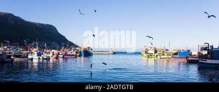 Vieux bateaux de pêche en bois amarré dans le port de Kalk Bay, Cape Town, Afrique du Sud Banque D'Images
