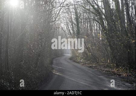 Soleil du matin qui filtre à travers les arbres et une route de campagne étroite serpente à travers les bois Banque D'Images