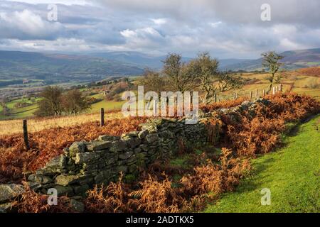 Collines près d'Abergavenny, dans le sud du Pays de Galles. Banque D'Images