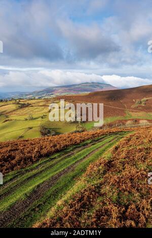 Collines près d'Abergavenny, dans le sud du Pays de Galles. Banque D'Images