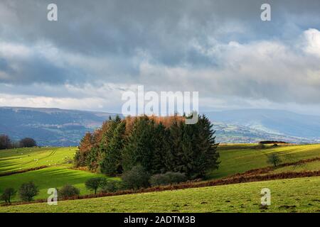 Collines près d'Abergavenny, dans le sud du Pays de Galles. Banque D'Images