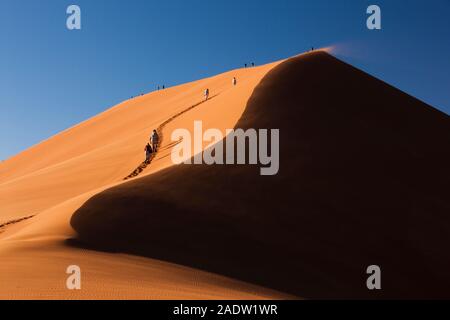 Climb Dune 45, près de Sesriem, désert du Namib, Namibie, Afrique australe, Afrique Banque D'Images