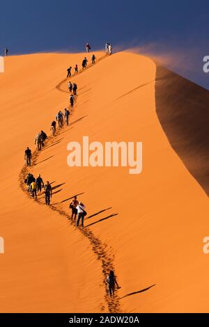 Climb Dune 45, près de Sesriem, désert Namib, Parc national Namib-Naukluft, Namibie, Afrique australe, Afrique Banque D'Images
