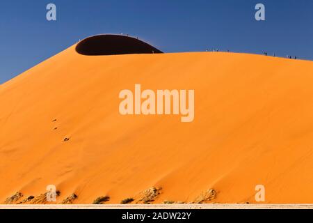 Climb Dune 45, près de Sesriem, désert Namib, Parc national Namib-Naukluft, Namibie, Afrique australe, Afrique Banque D'Images