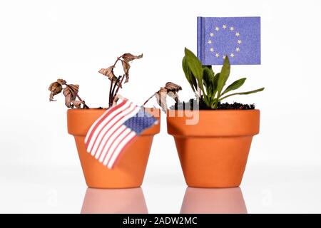 Des drapeaux des Etats-Unis et de l'UE dans un pot de fleur avec la sécheresse, conceptpeanlties ou tarif punitif ou mauvais pouvoir d'achat. symbole d'une mauvaise économie d'un Banque D'Images