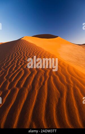 Dunes du matin avec des ondulations de vent, Sossusvlei, désert de Namib, Parc national de Namib-Naukluft, Namibie, Afrique australe, Afrique Banque D'Images