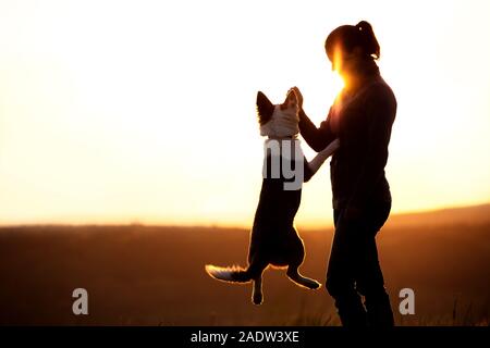 Rétro-éclairage Silhouette d'une femme avec son chien sautant, jouant sur le coucher du soleil ou le lever du soleil, copyspace Banque D'Images