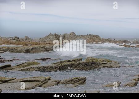 Seascape Kaikoura avec de belles roches plissées et joints dans la distance Banque D'Images