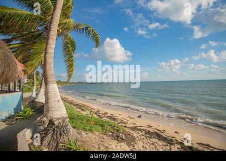Plage paradisiaque de Punta Allen à la mer des Caraïbes