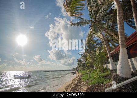 Plage paradisiaque de Punta Allen à la mer des Caraïbes