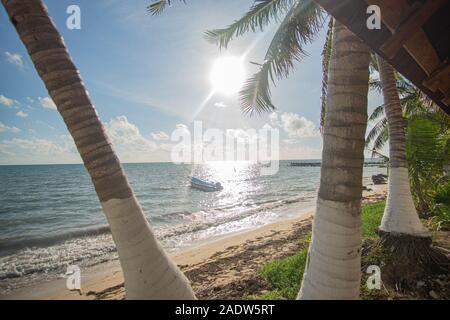 Plage paradisiaque de Punta Allen à la mer des Caraïbes