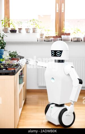 Robot autonome est à l'intérieur, jardinage jardinier robot avec des légumes dans une chambre, cyborg est d'essayer de comprendre la vie Banque D'Images