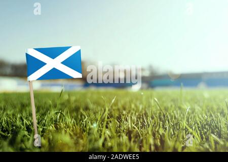 Stick miniature drapeau Ecosse on Green grass, Close up champ ensoleillé. Arrière-plan du stade, l'espace de copie pour le texte. Banque D'Images