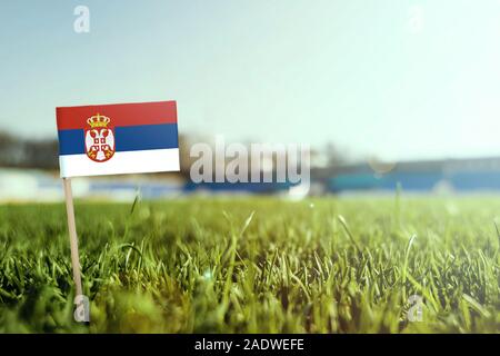 Stick miniature Serbie drapeau sur Green grass, Close up champ ensoleillé. Arrière-plan du stade, l'espace de copie pour le texte. Banque D'Images