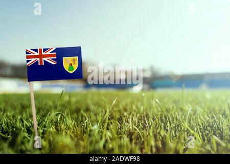 Stick miniature drapeau des îles Turques et Caïques on Green grass, Close up champ ensoleillé. Arrière-plan du stade, l'espace de copie pour le texte. Banque D'Images